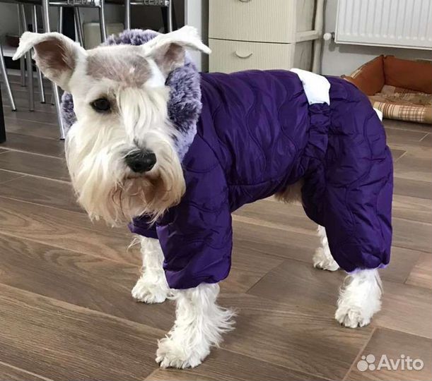 Новый зимний комбинезон 