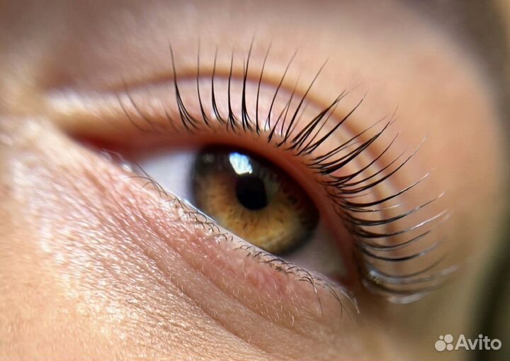 Ламинирование/окрашивание брови/ресницы