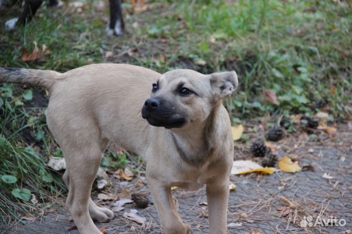 Девочка 3,5 месяца. Стерильна