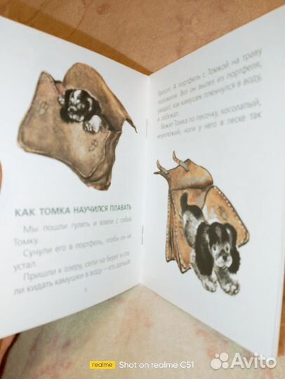 Про томку чарушин