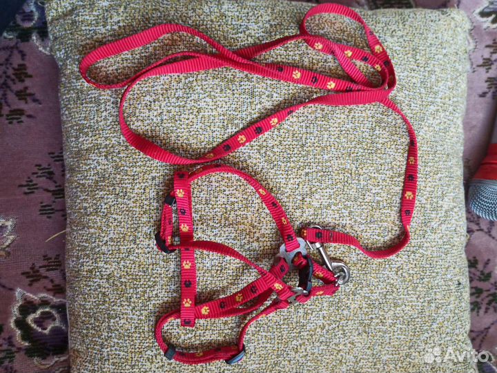 Шлейка и лоток для кошки или маленькой собачки