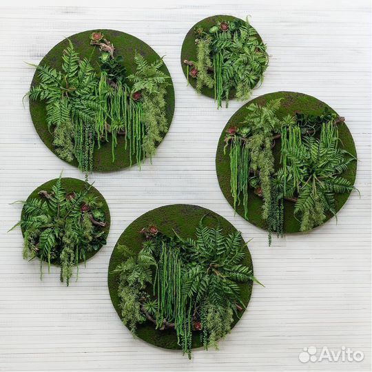 Фитокартина круглая 60 см