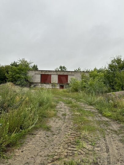 Производство, 1000 м²