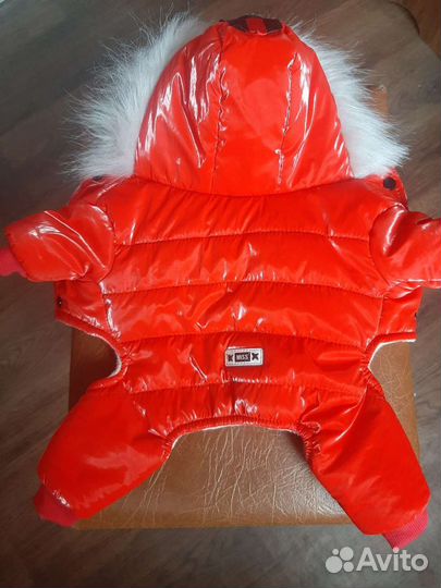 Одежда для маленьких собак