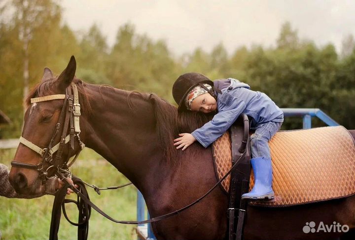 Иппотерапия в Самаре