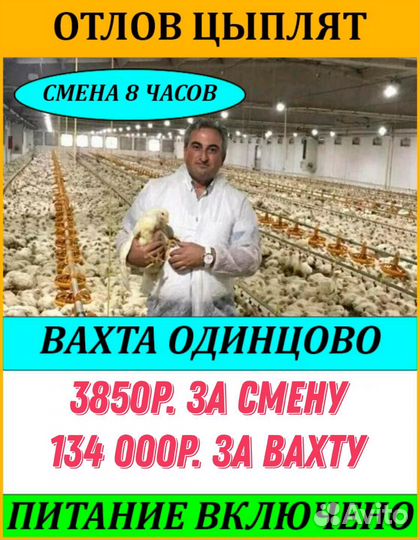 Рабочие на птицефабрику Пителино