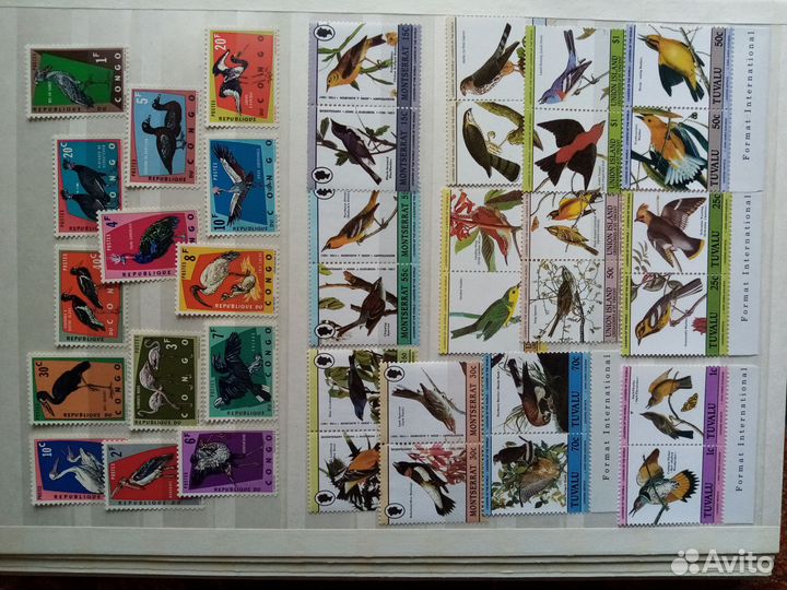 Почтовые марки. Птицы