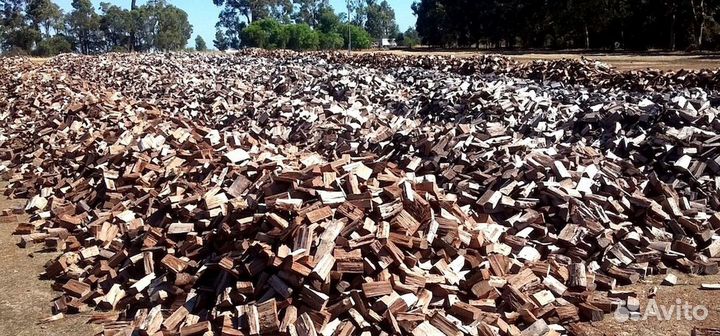 Дрова с Зеленогорска