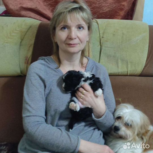 Щенок 2 мес