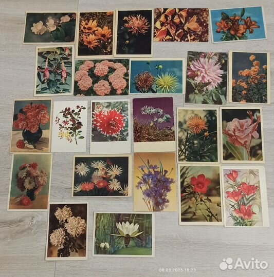 Открытка СССР 60-х годов