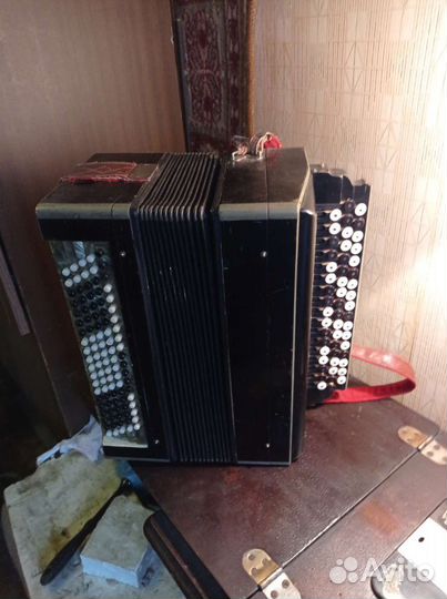 Баян тульский