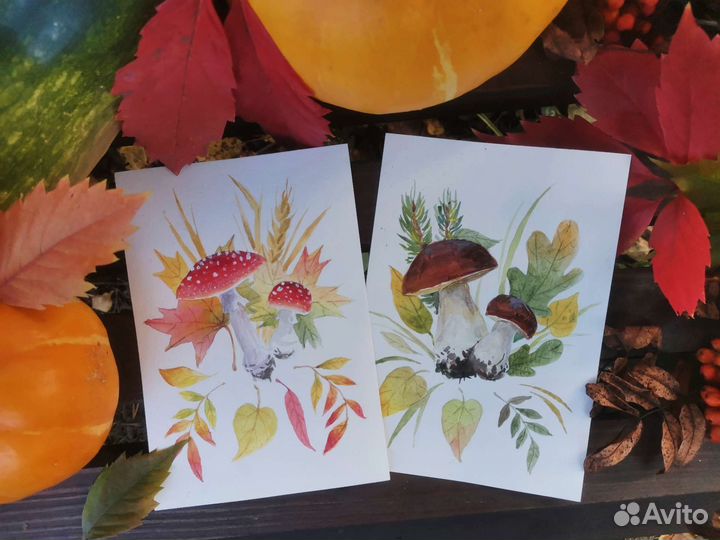 Открытки ручной работы акварель, этюд грибы, лето