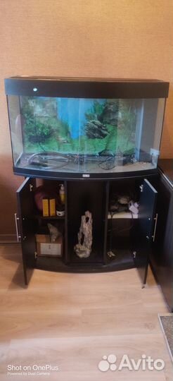 Аквариум juwel vision 180 с тумбой