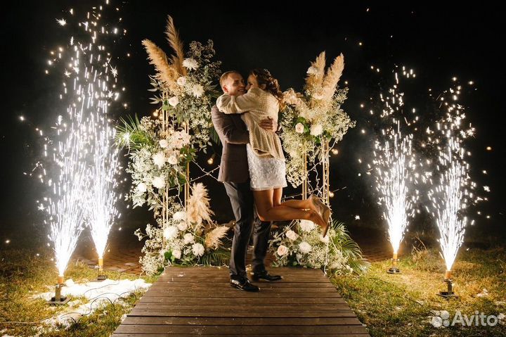 Ведущий и диджей на свадьбу