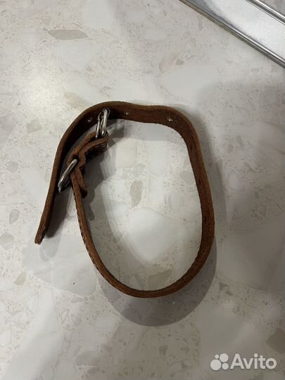 Ошейник для собак