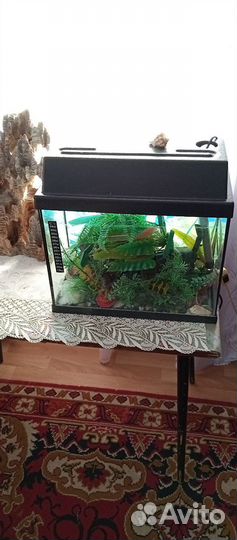 Обогреватель терморегулятор