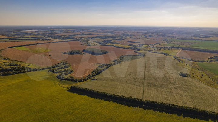 Участок 21 га (СНТ, ДНП)