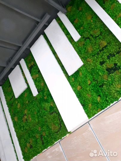 Озеленение интерьеров. Фитокартины