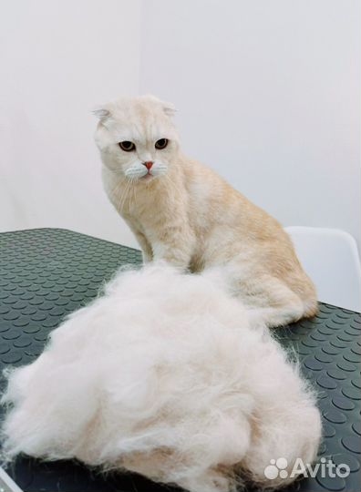 Груминг для собак и кошек