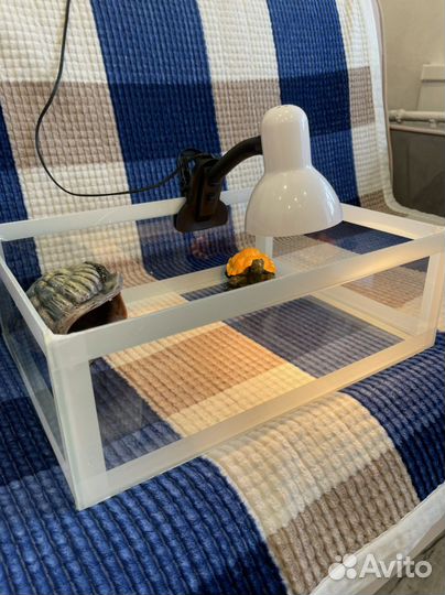 Террариум для сухопутной черепахи