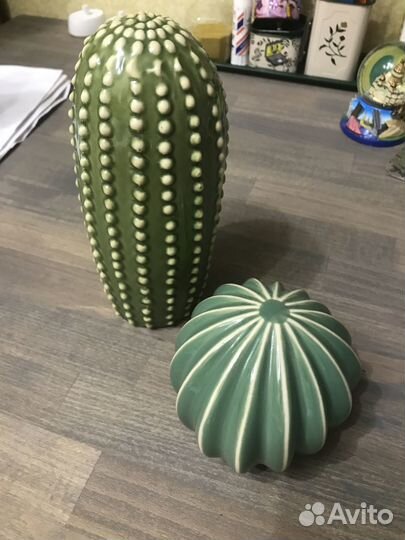 Икеа кактусы