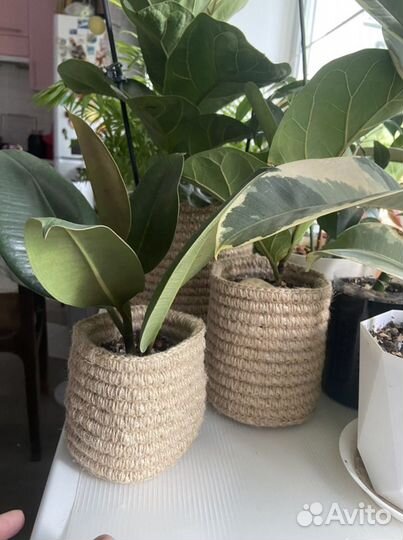 Плетеные корзинки из джута