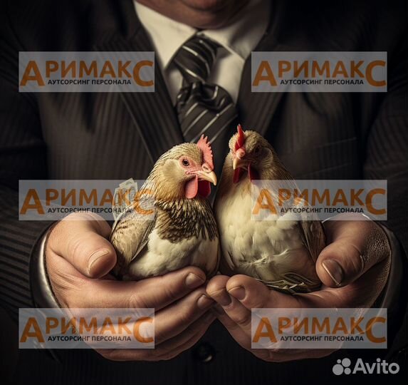 Упаковщик/ца на птицефабрику, вахта с проживанием