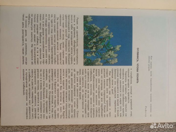 Когда шагаешь по траве. Пальман В