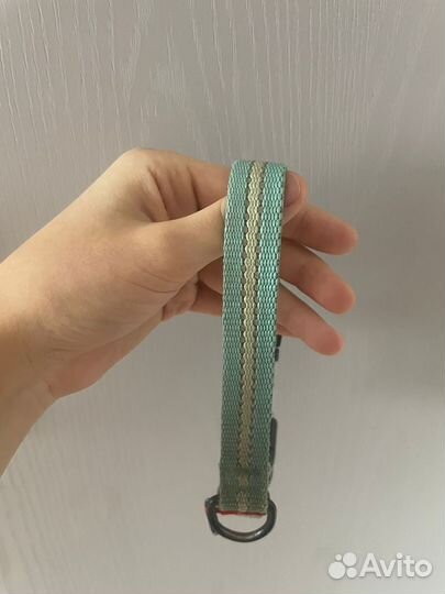 Ошейники и поводки для собак