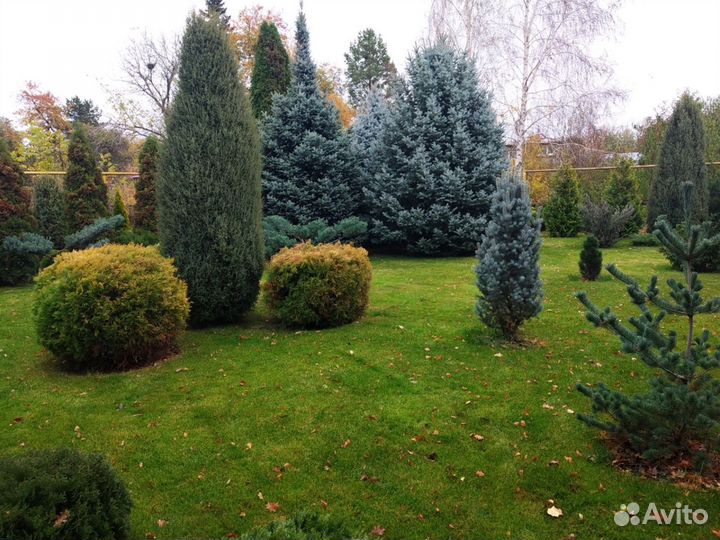 Спринклерный полив, монтаж автополива, автополив