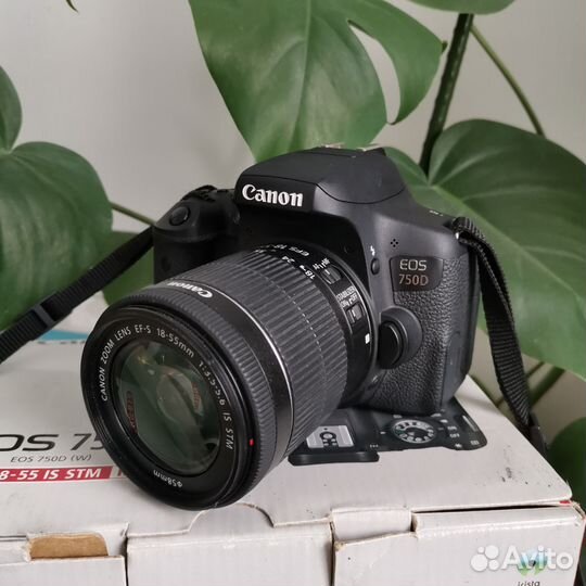 Canon eos 750d + объектив Canon 18-55 mm
