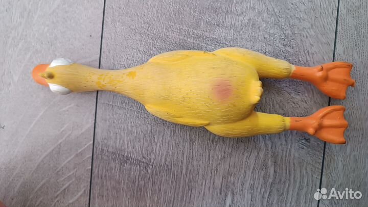 Игрушки ошейник поводок