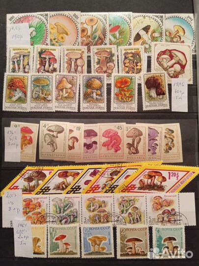 Почтовые марки СССР Монголия, Венгрия, Польша и др