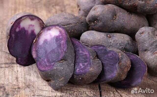 Картофель Фиолетовый
