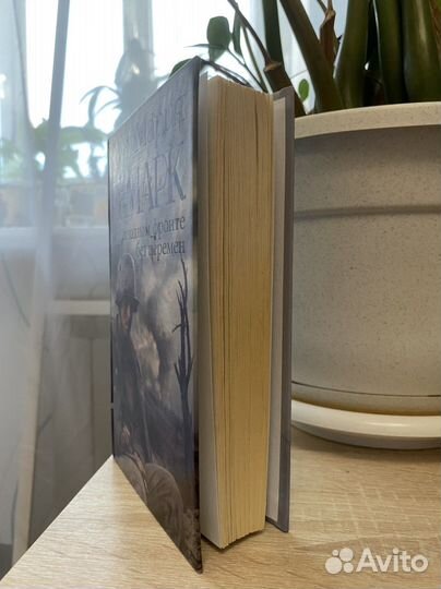 На Западном фронте без перемен, Эрих Мария Ремарк