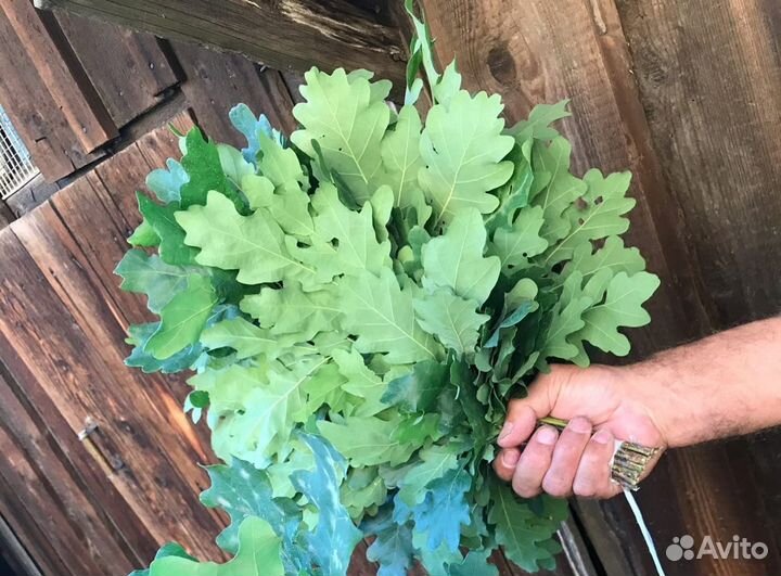 Дубовые банные веники