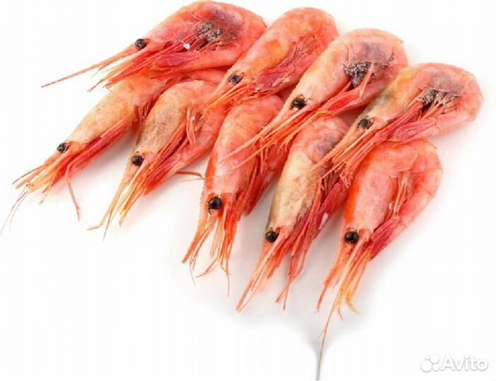 Креветки Северные 70+ Россия