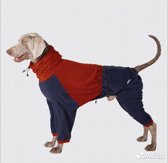 Комбинезон для собак