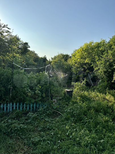 Участок 6,5 сот. (СНТ, ДНП)