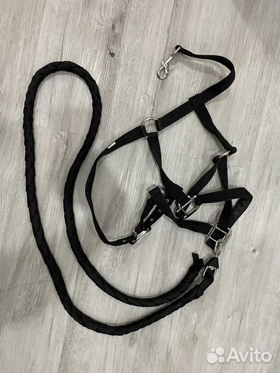 Принадлежности для конного спорта