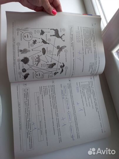 Огэ 9 класс фипи 2023