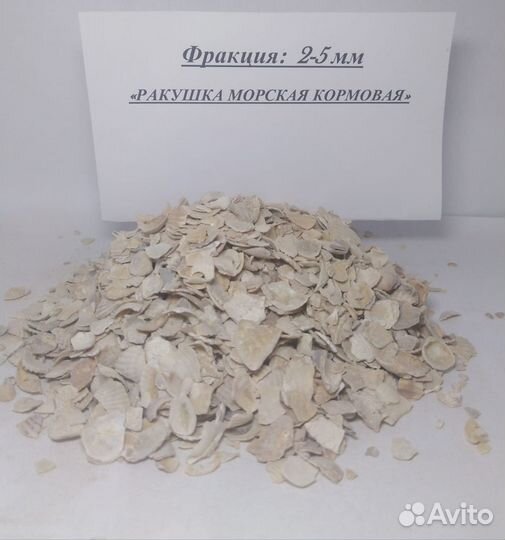 Ракушка морская кормовая