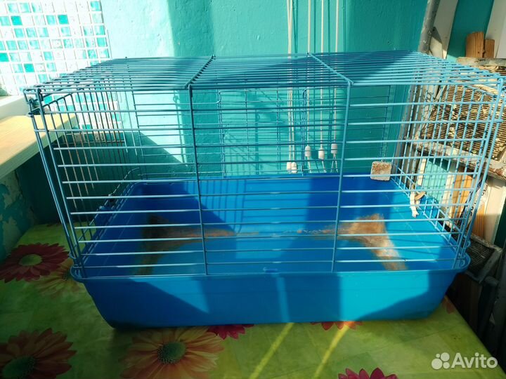 Клетка для морской свинки