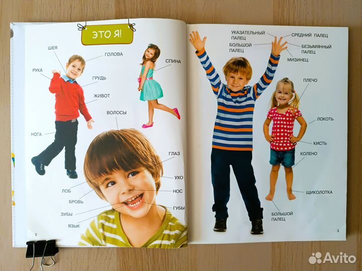 Моя первая книга Энциклопедия малыша