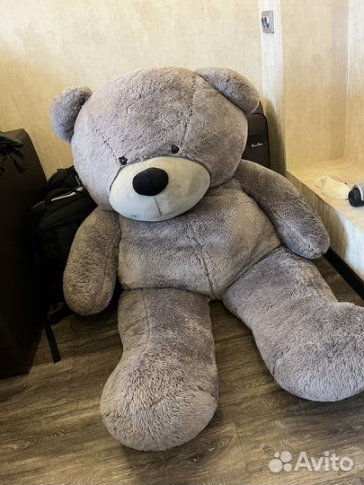 Большие плюшевые медведи