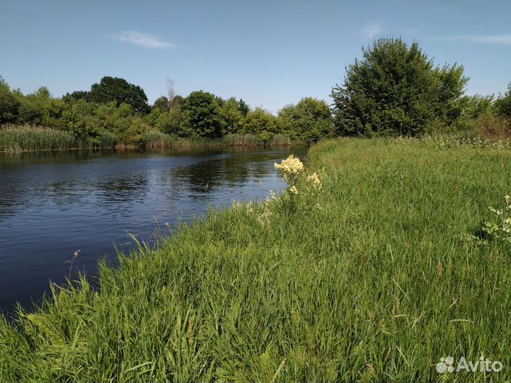 Луга от 5 Га