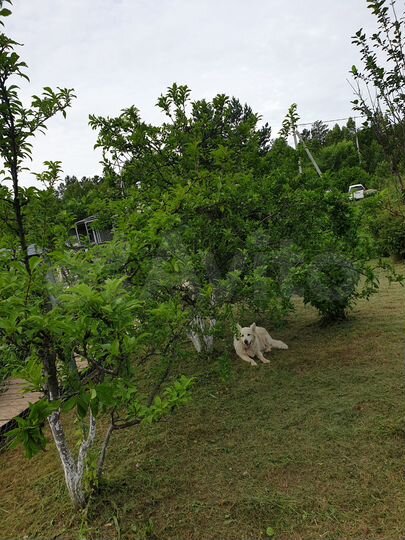 Дача 12 м² на участке 10 сот.