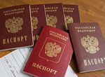 Гражданство РФ получить в Московской области