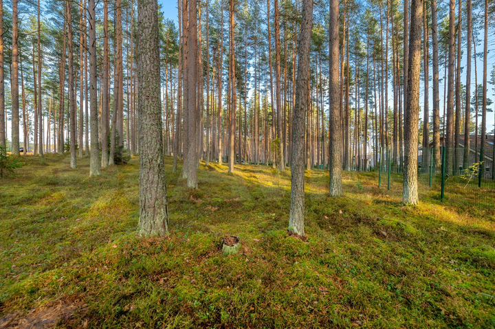 Участок 14,5 сот. (ИЖС)