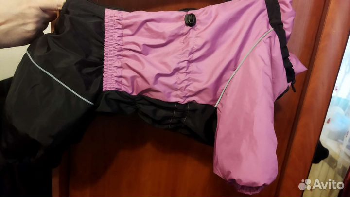 Дождевик для собаки средних пород